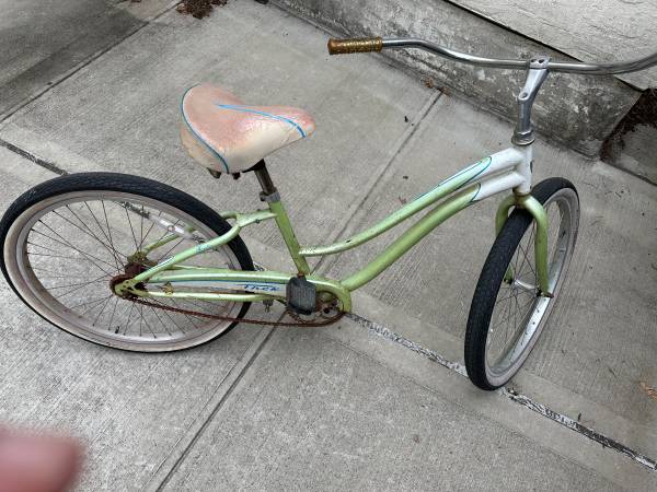 Trek Coaster brake bike (need work on the brake) 1