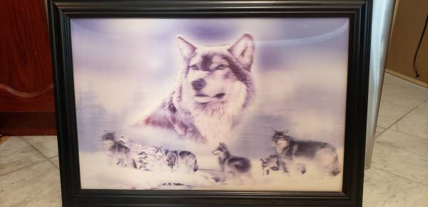 3D husky dogs picture 1