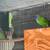 Finch 5 thumbnail