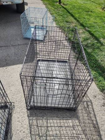 medium kennel 1