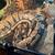 Ball python for sale 1 thumbnail
