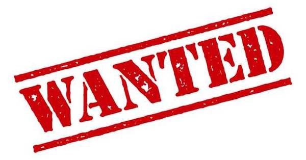 ISO Wanted: CHRISTMAS VILLAGE HOUSES / OTHER XMAS DECOR 1