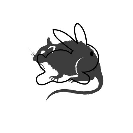 Bunnies and Rats seeks drummer for recording and live performance (Olympia)64167241018371120