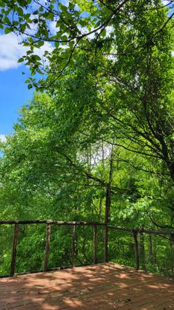 $1,250 / 1br - Adorable house in the mountains for rent!64029374187393124
