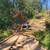 LOGGING , VEIW CLEARING , LAND CLEARING , EXCAVATOR WORK 2 thumbnail