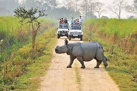 KAZIRANGA PACKAGE TOUR 1