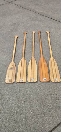 Paddles. Never used 1