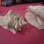 2 Large Conch Shells 2 thumbnail