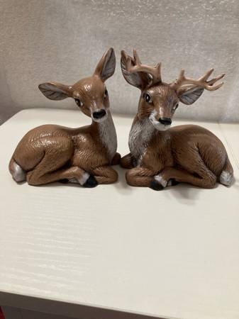 2 CERAMIC BUCK  AND DOE 1