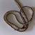 Chan Luu Pearl Wrap bracelet or necklace 2 thumbnail