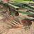 John Deere plows 7 thumbnail
