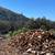 Oak firewood aptos,Felton,Santa cruz,Bonny  doon 2 thumbnail