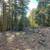 /mo. Set Off Your Next Adventure on 0.9 Acres of California Land 3 thumbnail