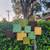 Colorful wall art metal 5 thumbnail
