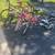 Kids bicycle 1 thumbnail