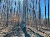 $1,000 $1000 Down Owner Financing 3.05 acres $500per month (Hillsboro)64027445648003122