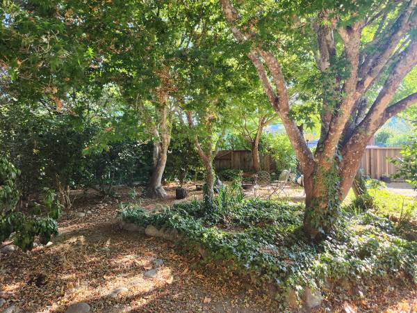 $1,200 / 1br - 144ft2 - Room for Rent in Downtown Boulder Creek (Boulder Creek)63847328095745122