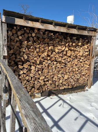Firewood 1