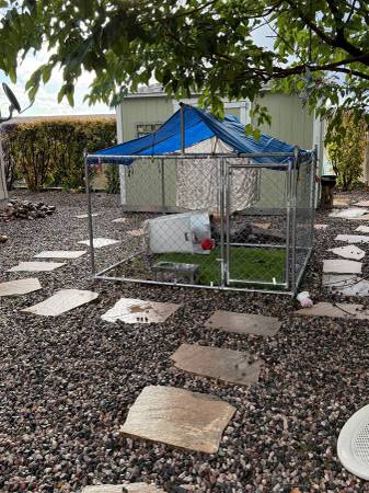 Outdoor CHAIN LINK DOG CAGE, FOR SALE 1