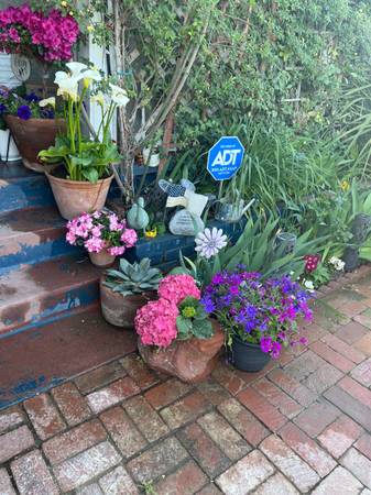 SPRINKLER REPAIR FREE ESTIMATES 1