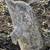 Vintage Concrete Twin Dolphin Spouting Fountain Statue 5 thumbnail