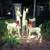 3 Family Deer Christmas Reindeer Display Deco Light Deer 4 thumbnail
