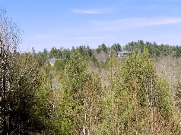 $69,900 Lot 370 Table View Lane (The Coves Mountain River Club, Lenoir NC)64029373128833121