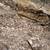 Paving contractor service & pour concrete install 12 thumbnail