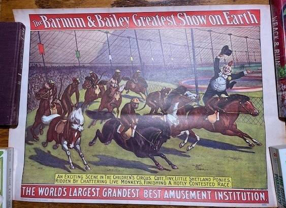 Barnum Bailey Circus Poster 1960's - Shetland Ponies Rode by Chatterin 1