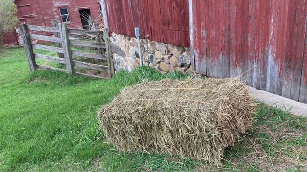 Hay for sale 1