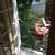 Great ROOM w/Garden in 4BR Apt in Bedstuy BK......Quiet Brooklyn !!!!! 18 thumbnail