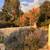 Private Room in Beautiful Craftsman // Unbelievable Yard! 9 thumbnail