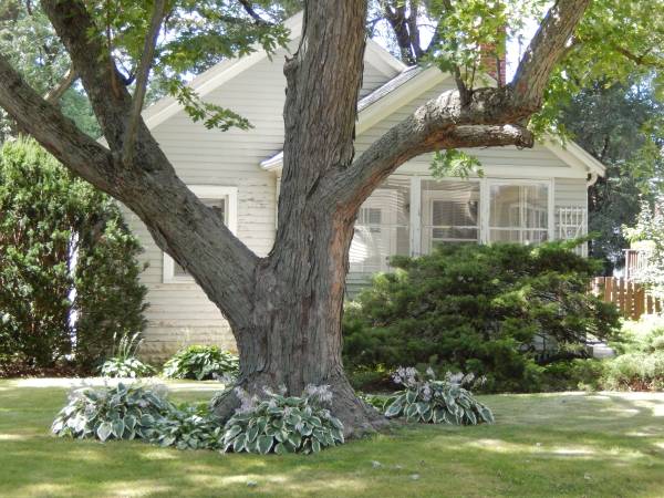 $1,350 / 2br - Tranquilo y muy deseable barrio al este (Bloomington-Normal)63700508718465120