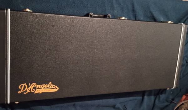 Guitar Case 1