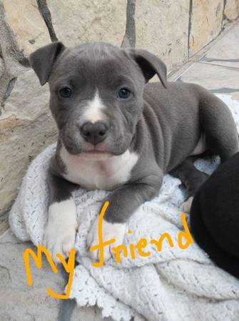 Healthy & Friendly 1