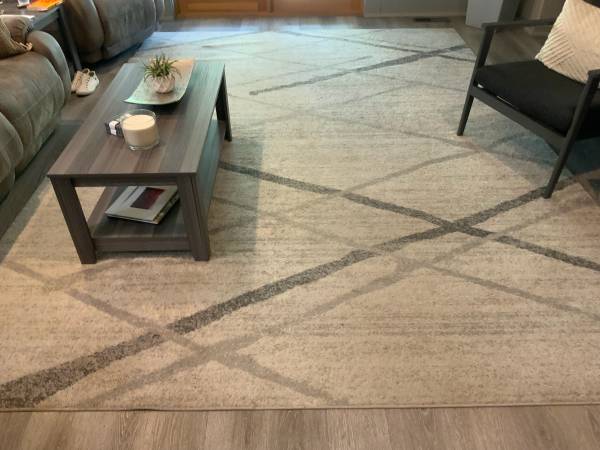 12’ x 9’ Area Rug 1