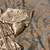 Brocaded Satin Bedspread 14 thumbnail