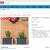 VITA VT17900 MEZZA 24" X 12" X 11" PLANTER 2 PACK - NEW IN BOX 6 thumbnail