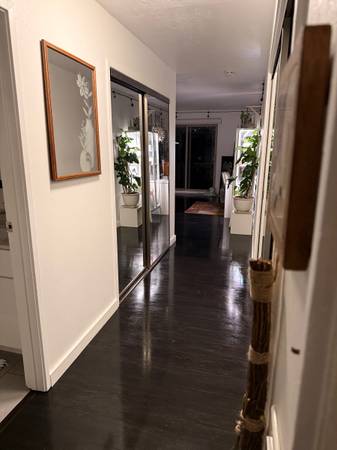 Never Wash Clothes or Clean Again — Nimbus Laundry & Cleaning” 1