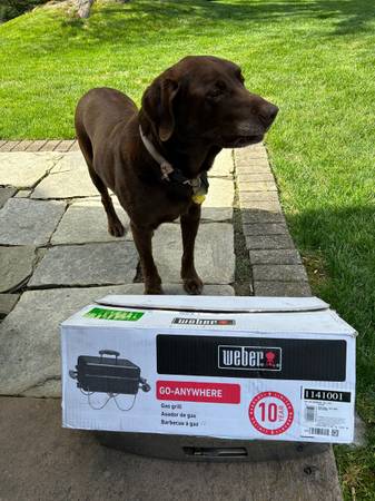 WEBER Go Anywhere portable grill - 1141001 - $50 (Langhorne)63471098876547122