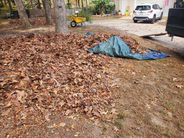 General landscaping, Leaf Cleanup, Hedge Trim, Leaf Removal, Mulch, Mowing and M 1