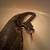 Big Male ball python 4 thumbnail