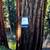 2TB Flash Drive USB 3.0 with keychain 9 thumbnail