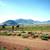 Columbus / Deming, NM - 10 Acres - $196 Monthly Payments 5 thumbnail