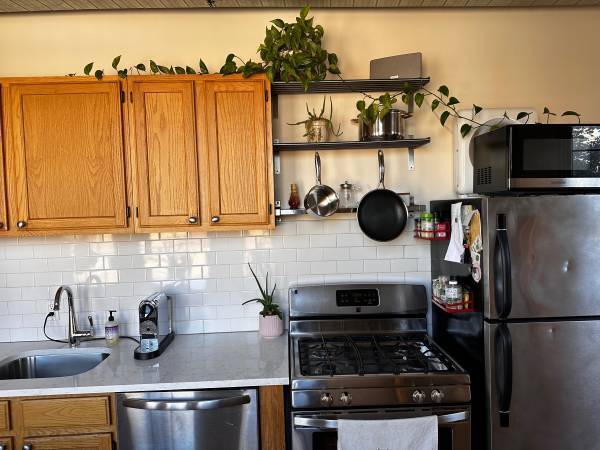 $500 / 2br - Sunny 2BR Sublet in Bushwick – Nov 16 to Dec 1 (Morgan L Stop) (Brooklyn)63816553415681121