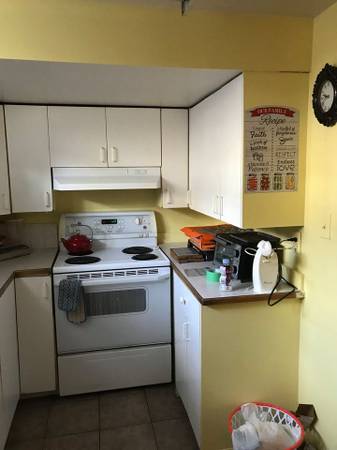 Spacious Ground level one Bedroom basement Suite 1