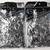 NEW SEALED 2 BagSilver Foil Shredded Filler 5 thumbnail
