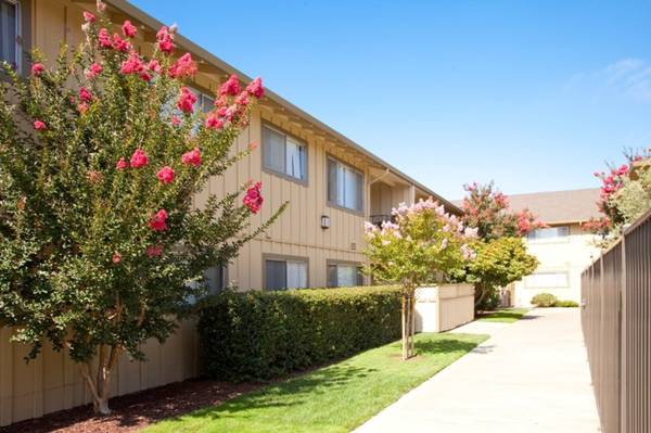 $2,775 / 516ft2 - Recorra Este Acogedor Estudio – Servicios Públicos + Estacionamiento, Todo Incluido (vista a la montaña)63667889121409121