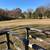 Nice Brick home on two acres with year round spring. 7 thumbnail