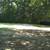 FSBO: Cabin w/Land 15 thumbnail